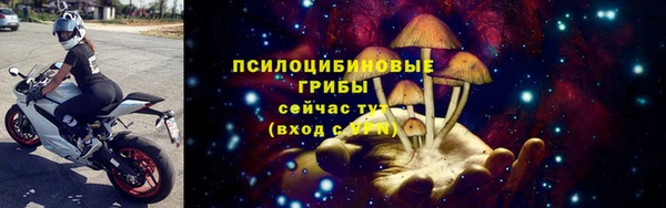прущие грибы Заводоуковск