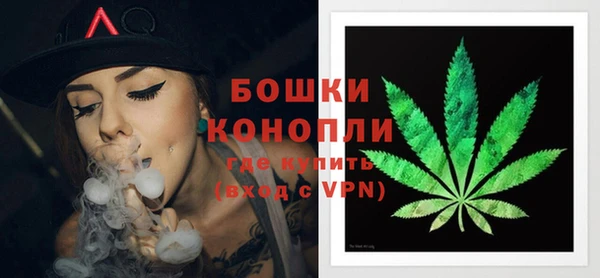 прущие грибы Заводоуковск