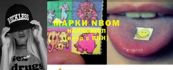 прущие грибы Заводоуковск