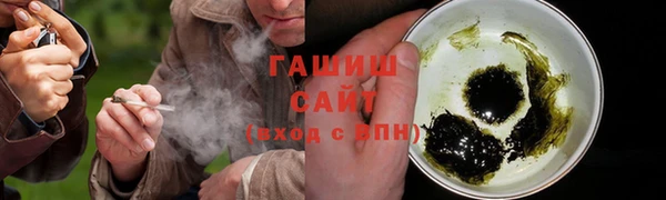 прущие грибы Заводоуковск