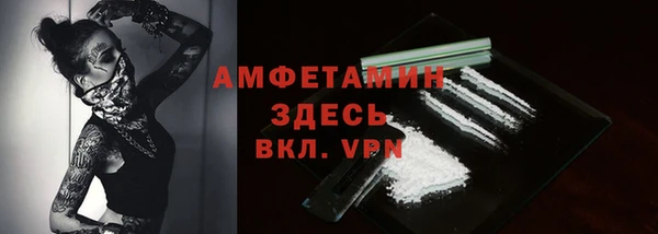 прущие грибы Заводоуковск