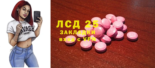 прущие грибы Заводоуковск