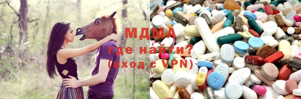 прущие грибы Заводоуковск