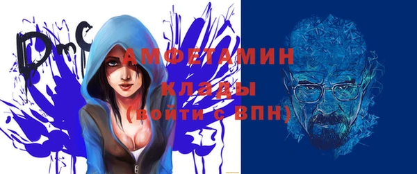 прущие грибы Заводоуковск