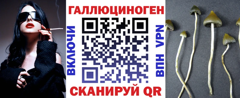 Купить закладки  Спас-Клепики  Псилоцибиновые грибы Cubensis 